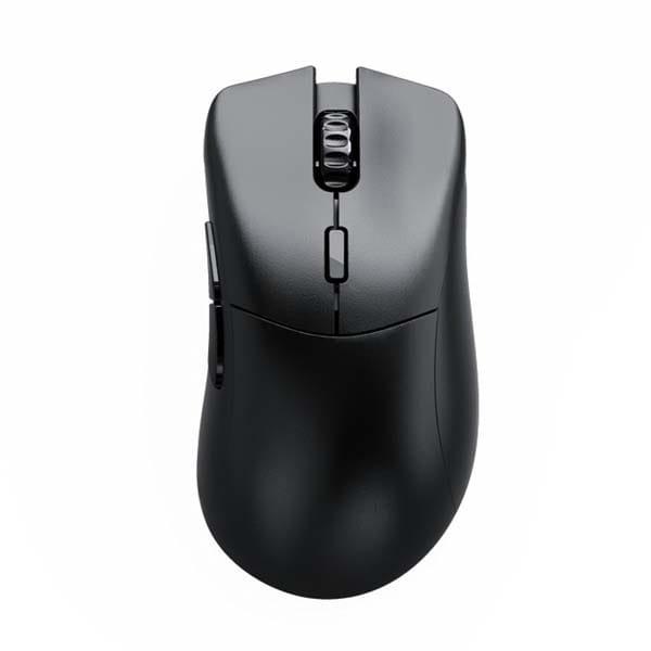 Glorious Model D 2 PRO 1K Hz 2.4GHz Wireless Gaming Mouse (60g) – Black